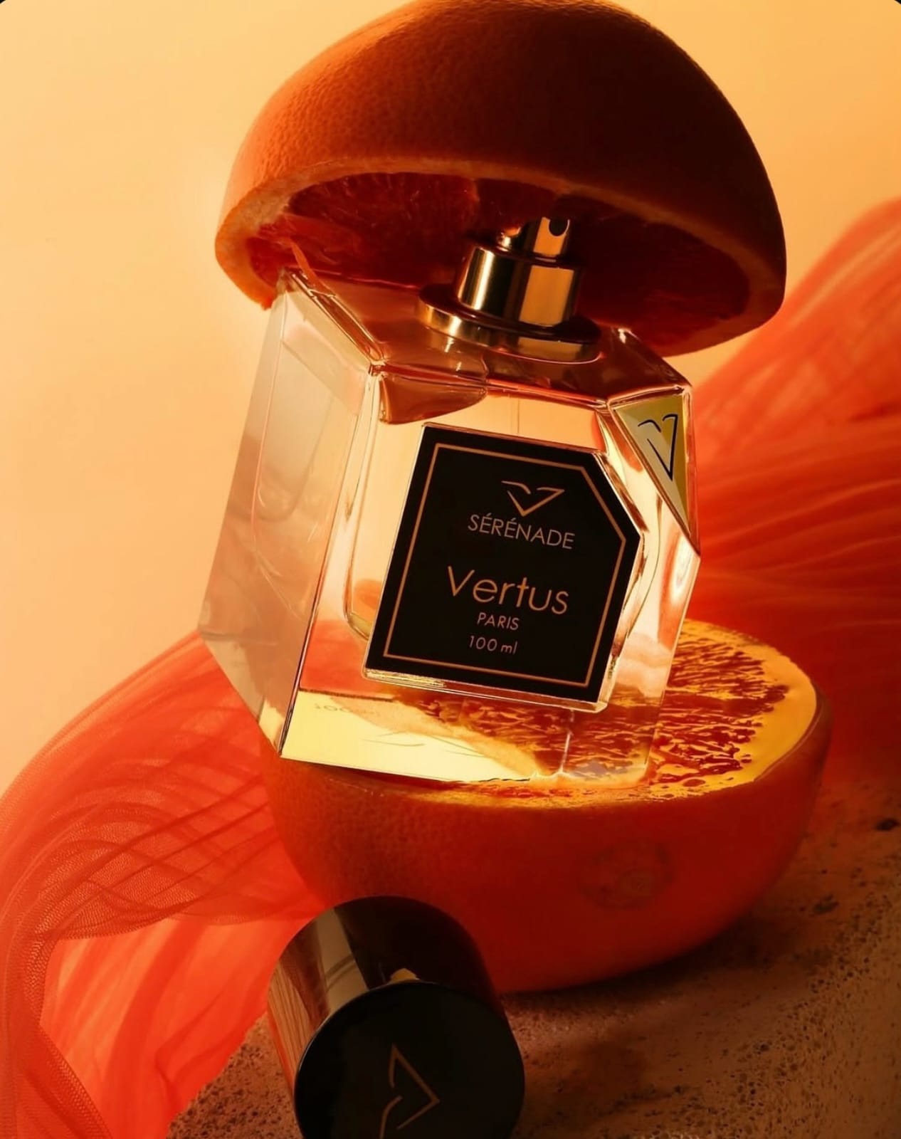 Новинка 2025 Royalparfum  Vertus SERENADE